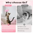 thumbnail image 4 of Hanging Fluffy Cat Catnip Ball Toys,2025 New Interactive Cat Toy for Indoor,Kitten Play Chase Exercise Toys,Long Tail Stretchable Soft Plush Teaser Ball with Bell (Mix Color), 4 of 7