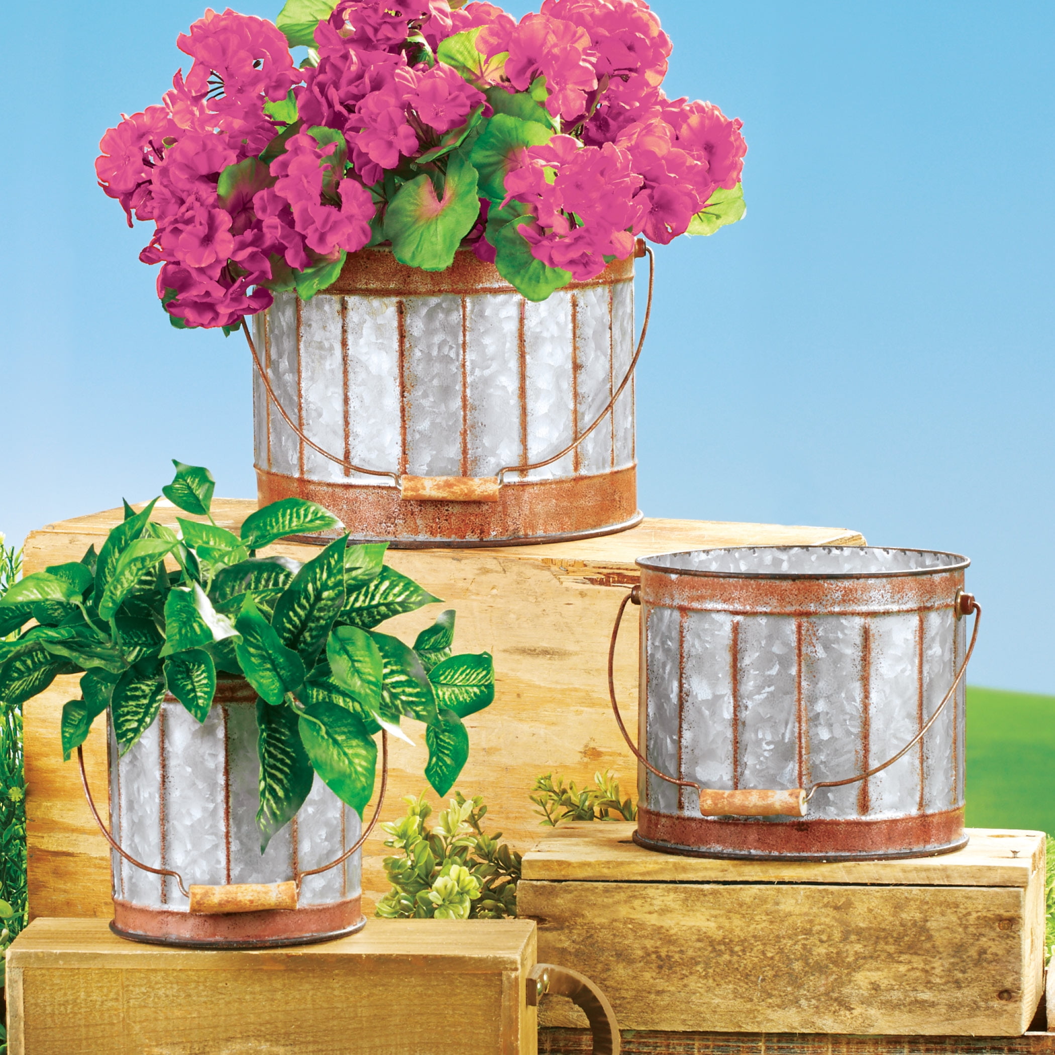 Rustic Galvanized Metal Planters with Handle and Rust Rustic Galvanized Metal Planters with Handle and Rust