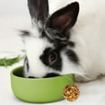 thumbnail image 5 of (3 pack) MENU Rollinis Mixed Fruit Small Animal Treat 1.4oz, 5 of 6