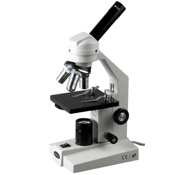 AmScope Student Compound Microscope 40X400X New