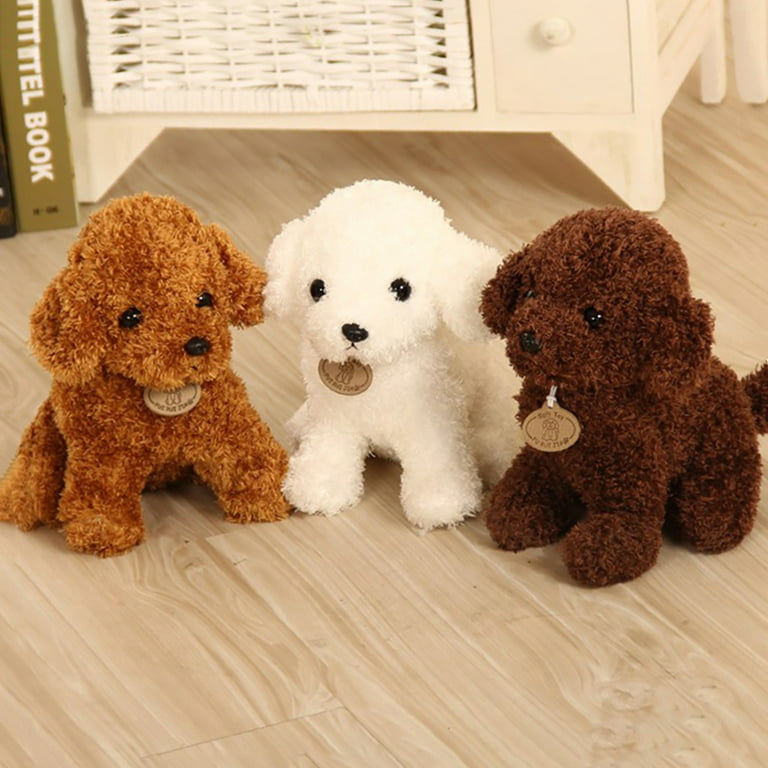 Toy Poodle  Adorable, Graceful, And Loyal - WAF