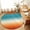 Blue, variant on Entryway Rug 2'x3', Teal Burnt Orange Ombre Kitchen Runner Rugs Non-Slip Carpet Mats, Contemporary Gradient Abstract Art Bedside Rugs Runners Washable Floor Carpet for Bathroom Laundry Room
