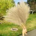 thumbnail image 2 of Artificial Pampas Grass Faux Bulrush Tall Reed Grass for Wedding Outdoor , light brown, 2 of 8