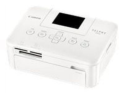 Canon SELPHY CP800 - Printer - color - dye sublimation - up to 0.8