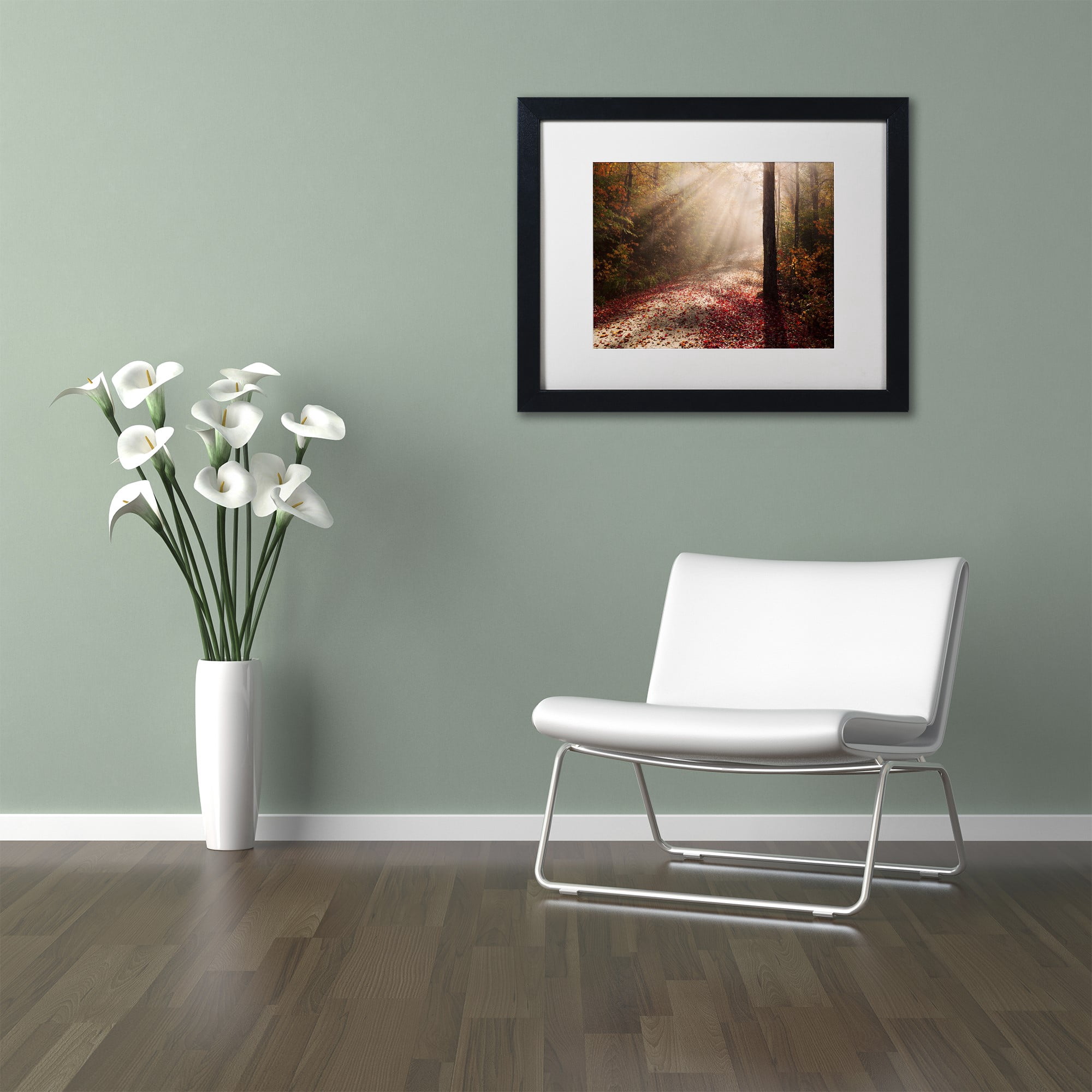 Trademark Fine Art 'Light in the Forest' Canvas Art by Michael Blanchette Photography, White Matte, Black Frame