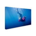 thumbnail image 2 of Arti Firsov 'Blue Water' Canvas Art, 2 of 3
