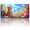 A Cat in a Flower Field, variant on 1 Pcs 2D Flat License Plate Covers & Frames, Sparkling Cross among Pink For Decorative Front, Waterproof For Decoration Aluminum License Plate Covers & Frames Cover For Men Women, 12" X 6"