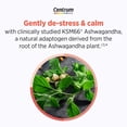 thumbnail image 4 of Suplemento Centrum Clear Mind Calm Mood Menopause 30 comprimidos, 4 of 8