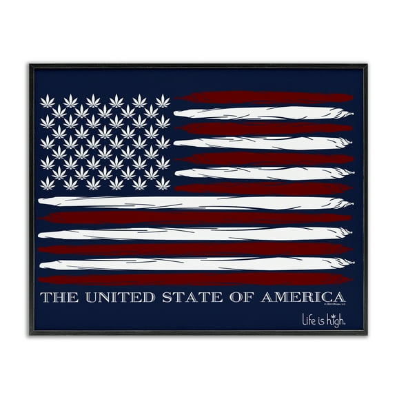 Stupell Industries Herb America Flag Novelty & Humor Painting Black Framed Art Print Wall Art, 14 x 11