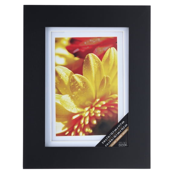 Studio Decor Gallery Black Frame with Double Mat