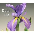 thumbnail image 3 of Dutch Iris Cutter Set (small) by WSA, 3 of 4