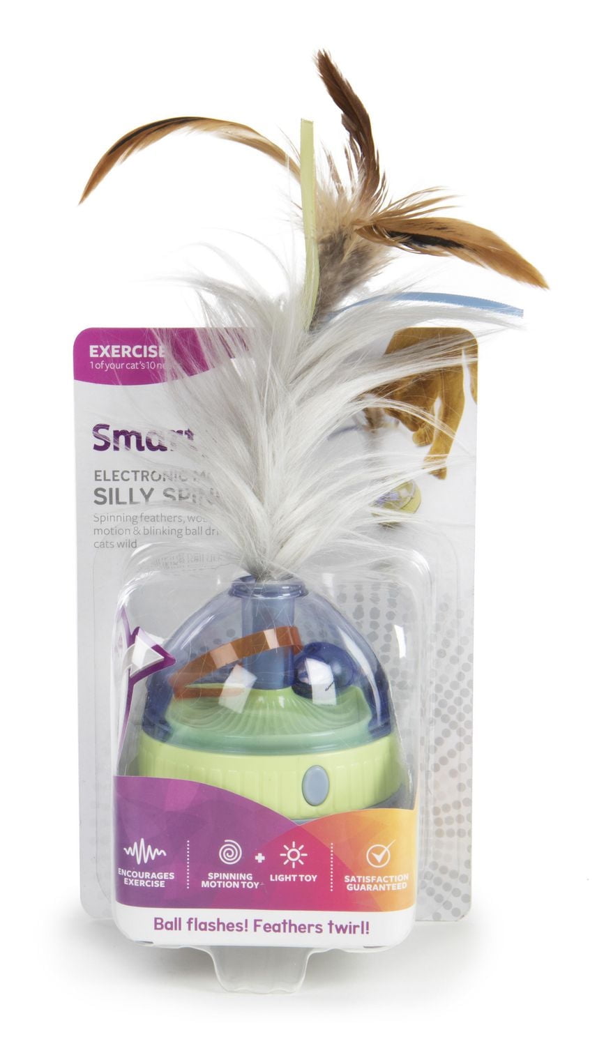 SmartyKat Silly Spinner