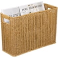thumbnail image 1 of Miangastore Imitation Rattan Weave Basket Desktop Finishing Hollow Handle Basket Container, 1 of 8