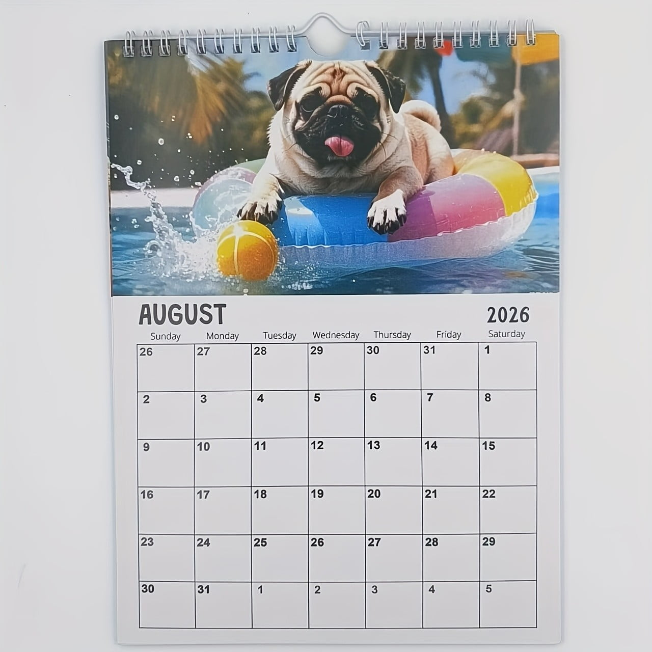 Brainybites 2026 Calendar Funny Mini Calendar with Monthly Grids for Appointments and Scheduling - Small Wall Calendar 2026 with Premium Gloss Paper for Home and Office Organization
