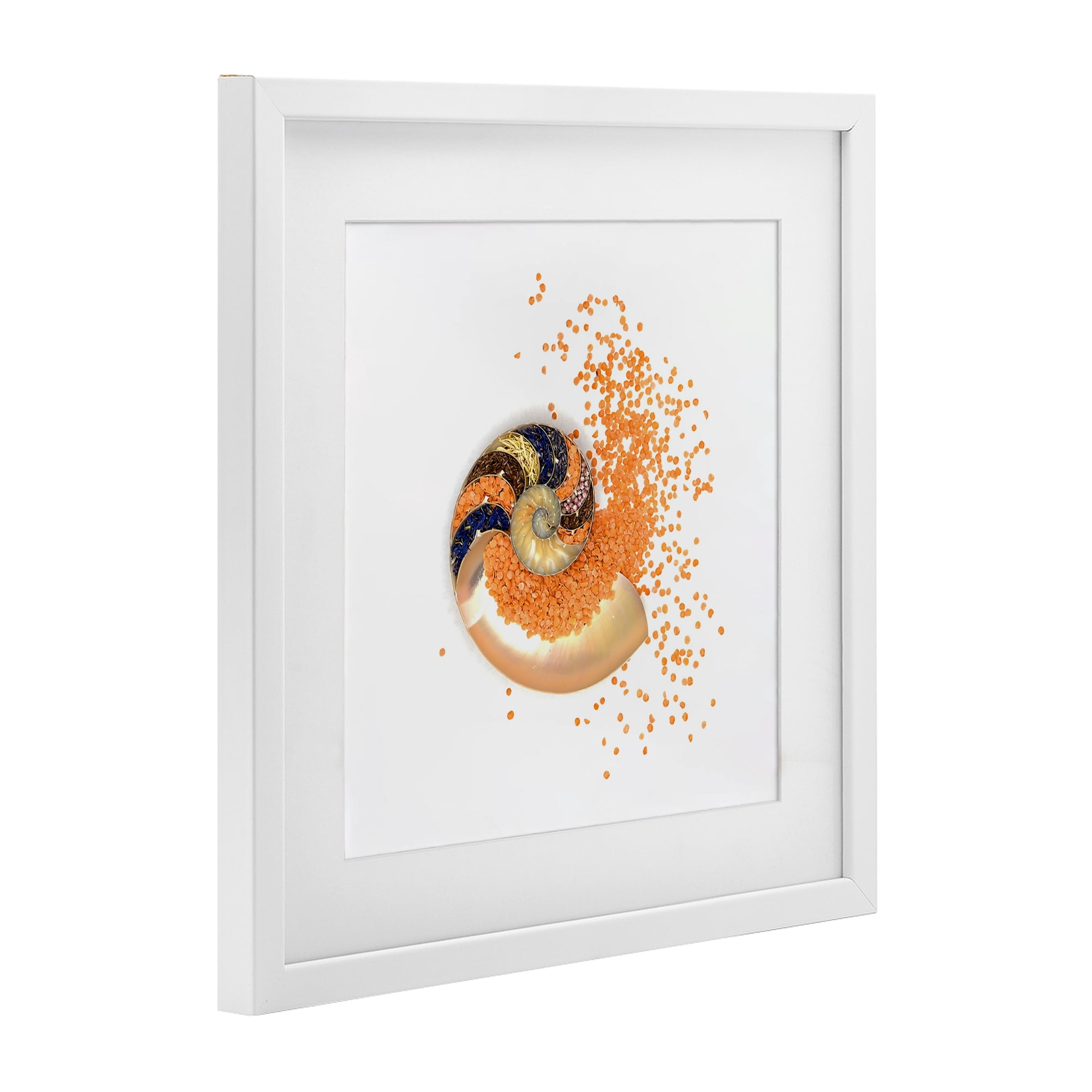 Stupell Industries Orange Nautilus Spiral White Framed Print Under Glass, design by Beth Adoette