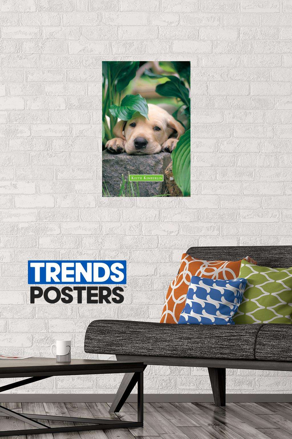Keith Kimberlin - Puppy - Lazy Days Wall Poster, 14.725" x 22.375"