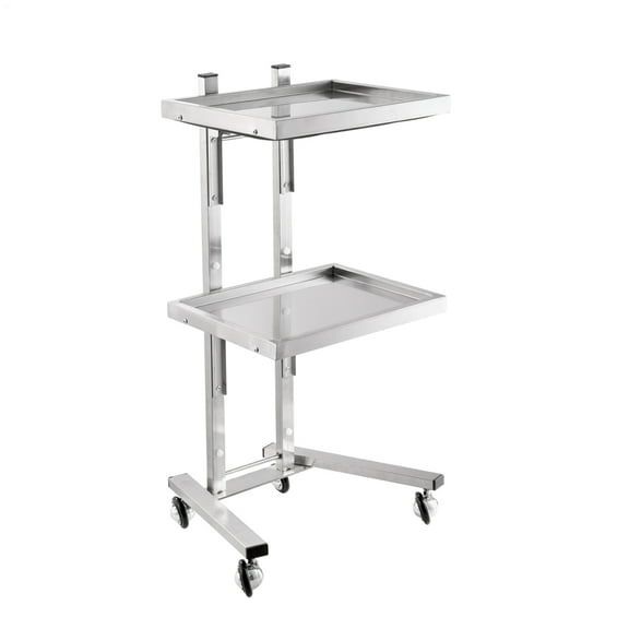 Portable Foldable Cart with Wheels, 2-Tier Stainless Steel Beauty Trolley for Mobile Stylists, Laboratory Assistants, and Multi-Location Events(Silver)