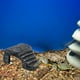 thumbnail image 5 of Rocas para tomar el sol, plataforma para tortugas, rampa grande para acuario, plataforma decorativa para tortugas, plataforma de aterrizaje, accesorios para reptiles, diseño plegable,, 5 of 6