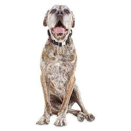 UPC: 0800443347942 | good2go black control handle collar for big dogs  xx-large/3x-large