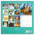thumbnail image 2 of Calendar 2024-2025, Cats Wall Calendar, Monthly Calendar, 16 Month Hanging Calendar Sep 2024 - Dec 2025, 12x12 in., 2 of 5