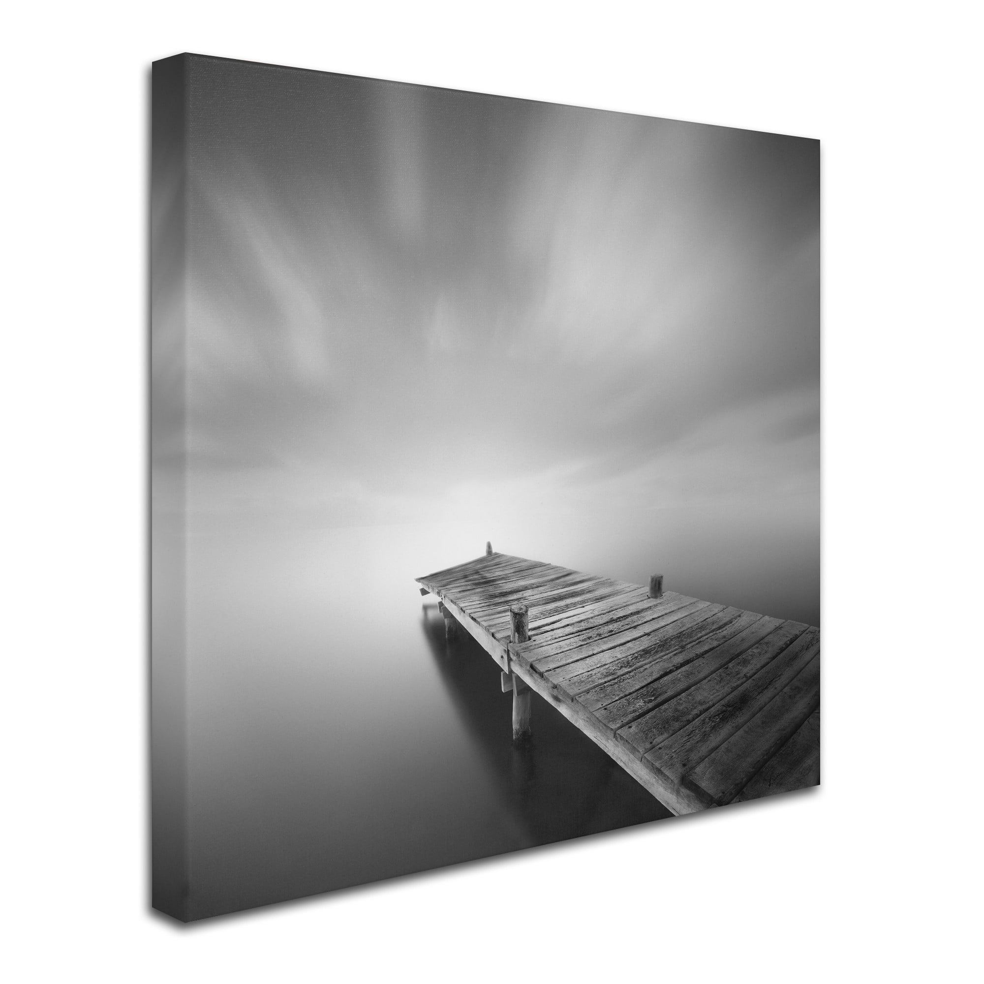 Trademark Fine Art "Destiny IVb" Canvas Art by Moises Levy
