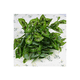thumbnail image 4 of 6pcs Adornos Decoración Hogar De Plantas Artificiales Green2 hoja verde linea guinda, 4 of 5
