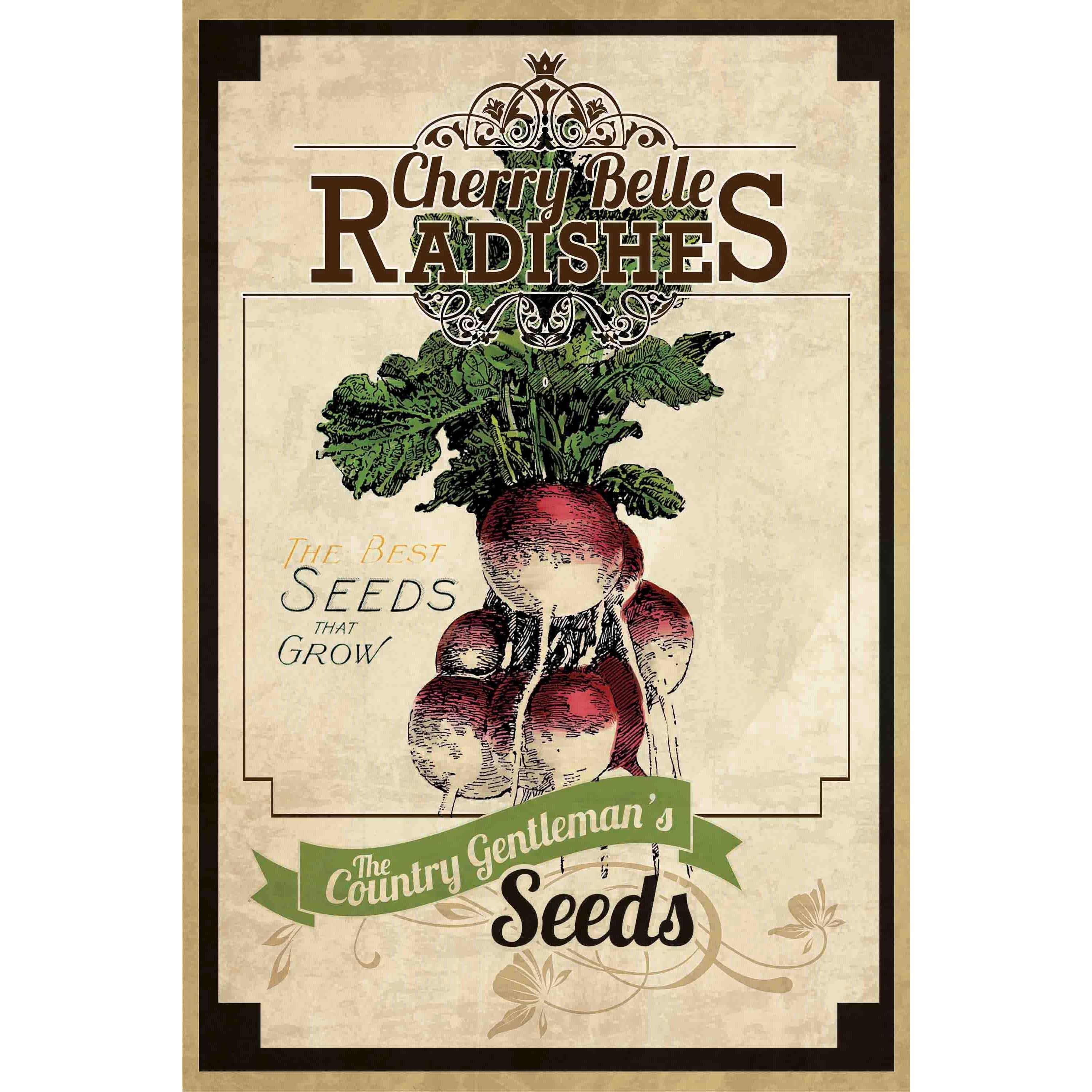 Marmont Hill "Seed Packet Radishes" Painting Print on Canvas