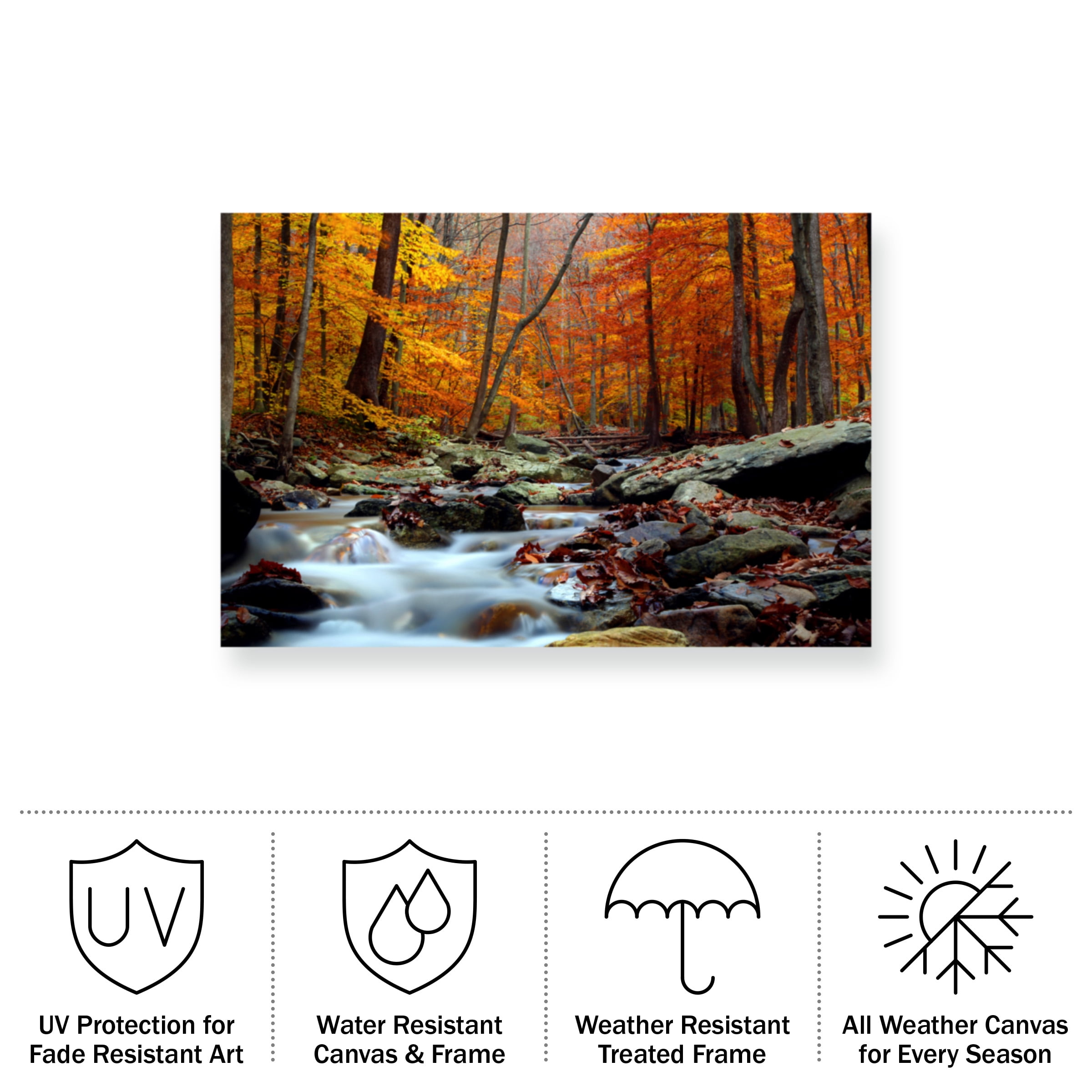 CATeyes 'Ultimate Truth' Outdoor All-Weather Wall Decor
