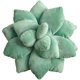 thumbnail image 2 of Almohada de cactus de suculentas en 3D, suculentas bonitas, compatible con el jardín o los amantes verdes, las almohadas de la planta verde del bebé, compatibles con la habitación del dormitorio en ca kaili Sencillez, 2 of 2