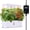 Pearl White, variant on Indoor Garden Led Grow Light Planter Pots, Herb Kitchen Garden Grow Kit, Full Spectrum LED Plant Light for Plants, Height Adjustable Growing Lamp with Intelligent Controller