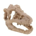 thumbnail image 1 of Resina Dinosaurio Cráneo Acuario Decoración Reptil Pecera Ornamento Decoración Del Hogar, 1 of 5