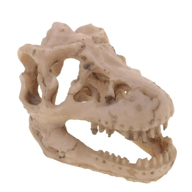 Resina Dinosaurio Cráneo Acuario Decoración Reptil Pecera Ornamento Decoración Del Hogar