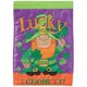 thumbnail image 1 of Dicksons Inc Lucky I Gnome It Bandera Poli Jardín, 1 of 1