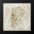 thumbnail image 2 of Robinson, Carol 15x15 Black Modern Framed Museum Art Print Titled - Seashell Illusion II, 2 of 5
