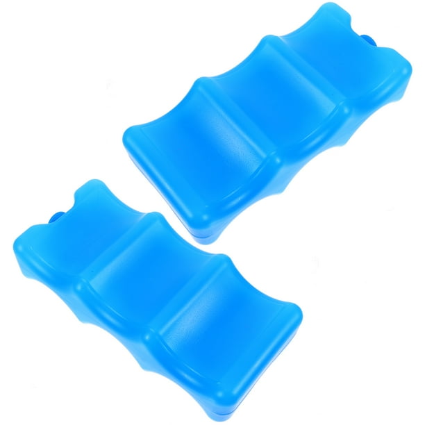 RUNROTOO 2Ud Bolsa De Hielo Azul Para Almacenar Leche Con Útil Para Camping Y Picnic