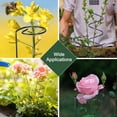 thumbnail image 4 of Homdeep 15.7 Inch Metal Spiral Tomato Stake Climbing Plant Support Tower, 4 of 7