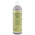 thumbnail image 2 of Jeffers Medicated Shampoo for Horses | Antibacterial & Antifungal Horse Shampoo | Equine Hair Care Shampoo Treatment |16oz, 2 of 4