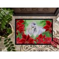 thumbnail image 3 of Carolines Treasures CK1299JMAT Tapis Maltese Intérieur Ou Extérieur, 24 x 36 Po., 3 of 4