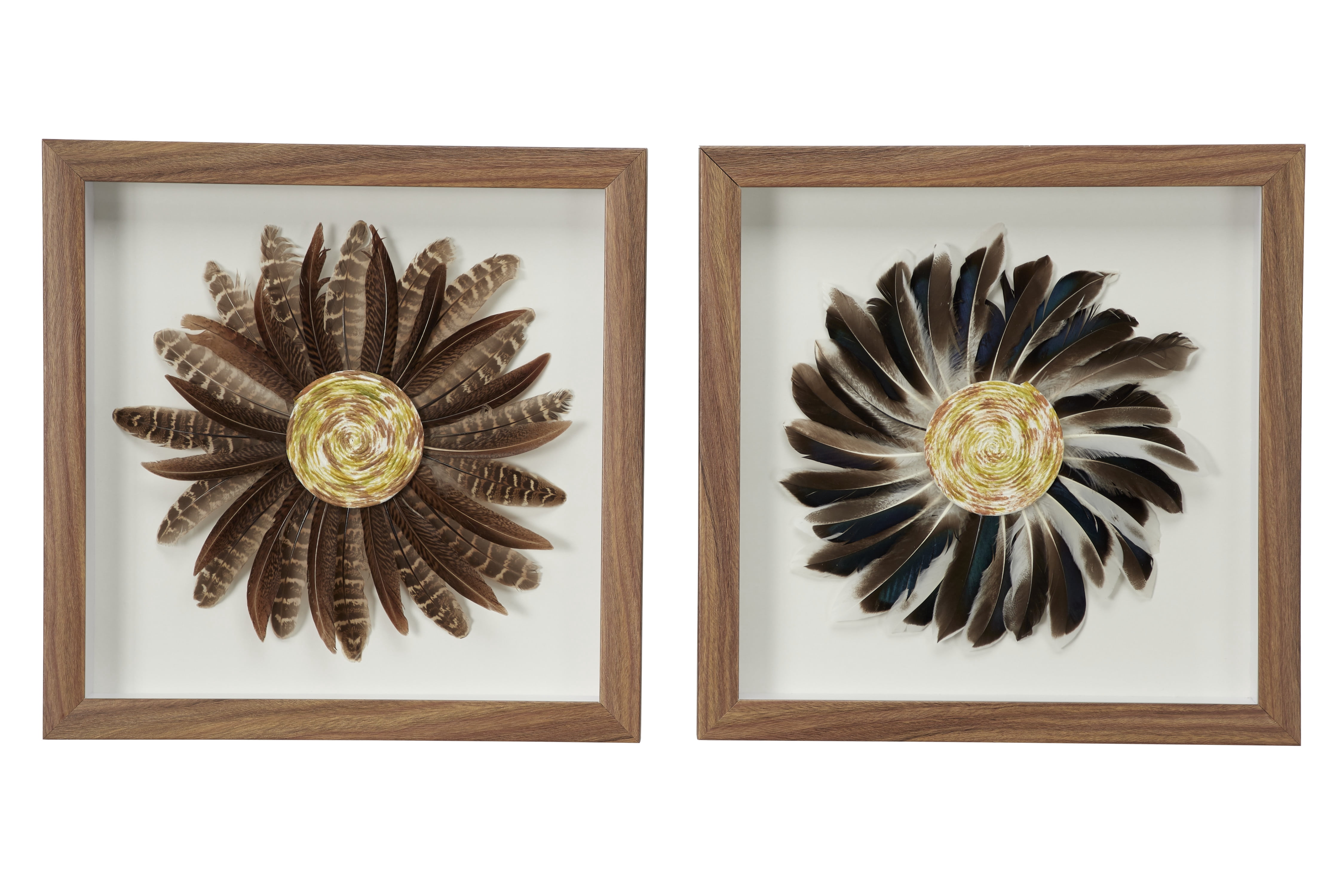 Decmode Eclectic Style Brown & Black Feather Shadow Box Wall Décor in Square Wood Frames, Set of 2: 15” x 15”