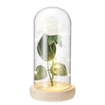 thumbnail image 2 of Lámpara De Rosa Romántica Con Cubierta De Cristal Doom Base De Madera Hecha A Mano Luz De Rosa Para Siempre Para El Día De San Valentín Día De La Madre matsuzay HA020932-00, 2 of 5