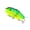 1, variant on Realistic Baits Hard Crankbait Fishing Lures Slow Sinking Swimbait for Basses Trouts Freshwaters Sports Fishing
