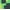 GREEN, variant on Minecraft Boys’ Graphic Rashguard with Long Sleeves and UPF 50+, Sizes 4-12