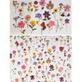 thumbnail image 4 of Yoksas Pressed Flower Wax Seal Stickers，320 Pieces Transparent Dried Flowers Resin Floral Botanical Stickers for Scrapbook Supplies Junk Bullet Journal Planner Laptops, 4 of 7