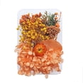 thumbnail image 4 of Toystoory Plantas de flores secas Fabricación en seco para la caja del teléfono móvil Artesanías de velas Adornos caseros hechos a mano tipo3 5piezas, 4 of 6