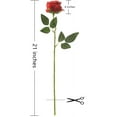 thumbnail image 3 of Zukuco 12 PCS Artificial Flowers Roses Silk Flowers Fake Long Stem Artificial Roses for Home Wedding Bathroom Kitchen Decorations (Red), 3 of 7