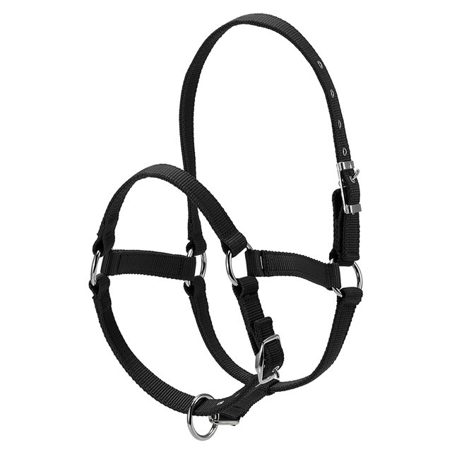 Collier de Tête de Cheval Épaissi 6MM Réglable Sécurité Licou Bride