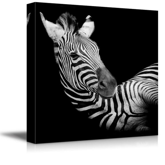 Canvas Prints Wall Art - A Headshot of a Burchell Zebra Wild Animal Photograph | Modern Wall Decor/Home Decoration Stretched Gallery Canvas Wrap Giclee Print & Ready to Hang - 24" x 24"