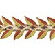 thumbnail image 3 of Cinta decorativa Vickerman de 6,4 cm x 4,6 m con borde cableado, 3 of 3