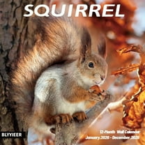 2026 Wall Calendar,Squirrel Calendar 2026,Squirrel Monthly Wall Calendar, 12" x 24" Open,Family Planner Calendar, Home & Office Organizer,Hangable