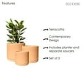 2. Bring Life Indoors: Discover The Best Ceramic Plant Pots Canada Has To Offer